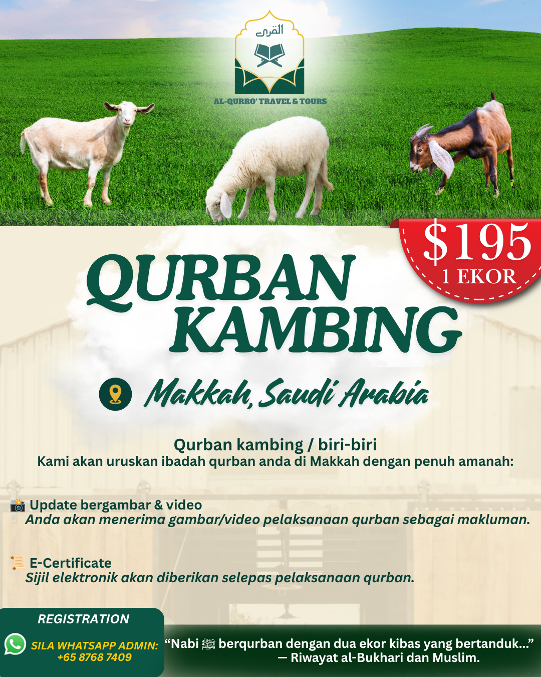 Qurban Kambing